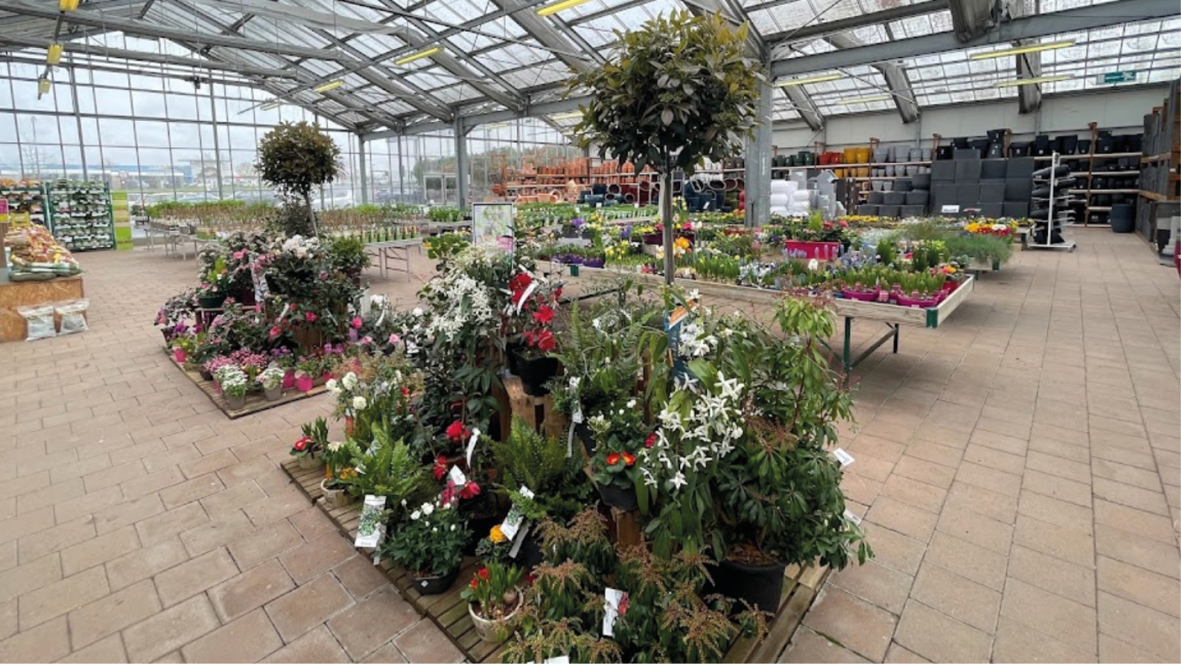 Jardinerie De Montaigu Desjardins fr Jardinerie De Montaigu Desjardins fr